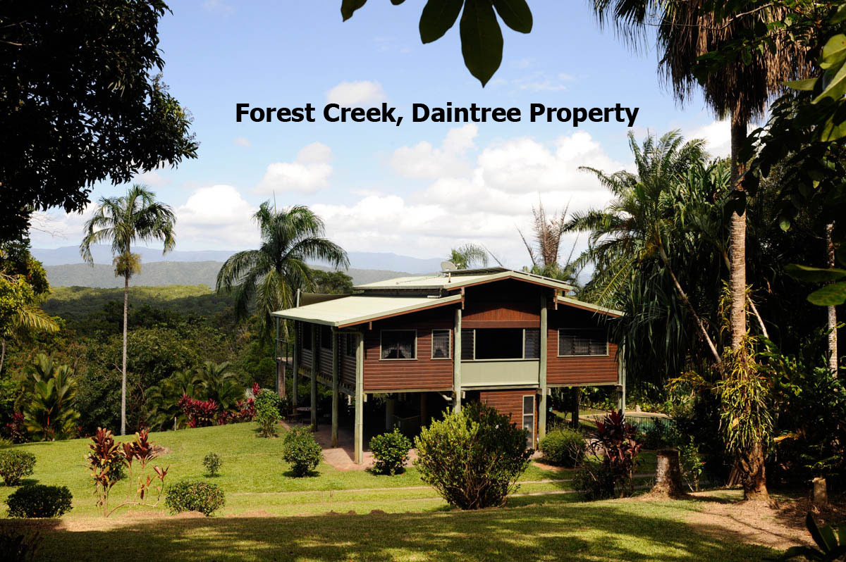 Daintree, Far North Queensland