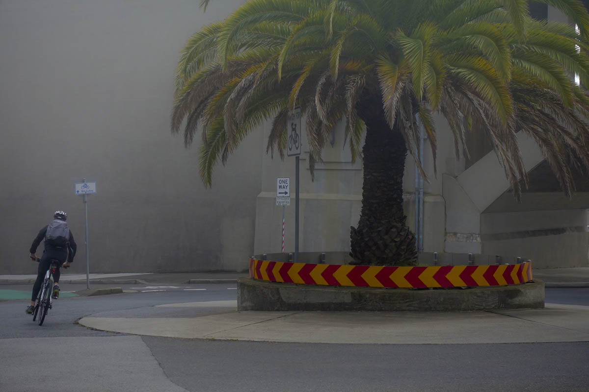 Cyclist in fog. Lavender Bay, Sydney.