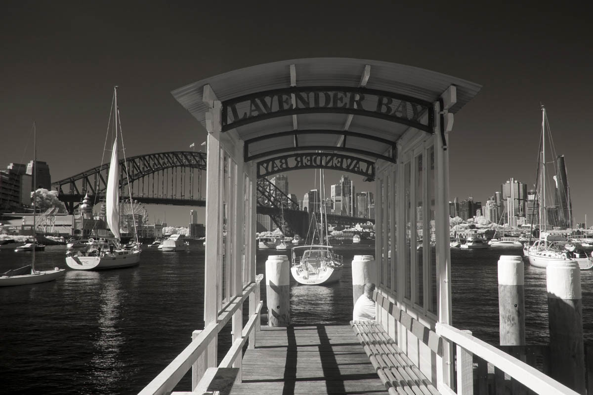 Lavender Bay, Sydney.