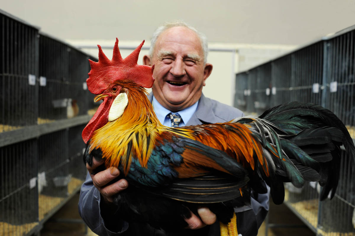 Poultry Winner