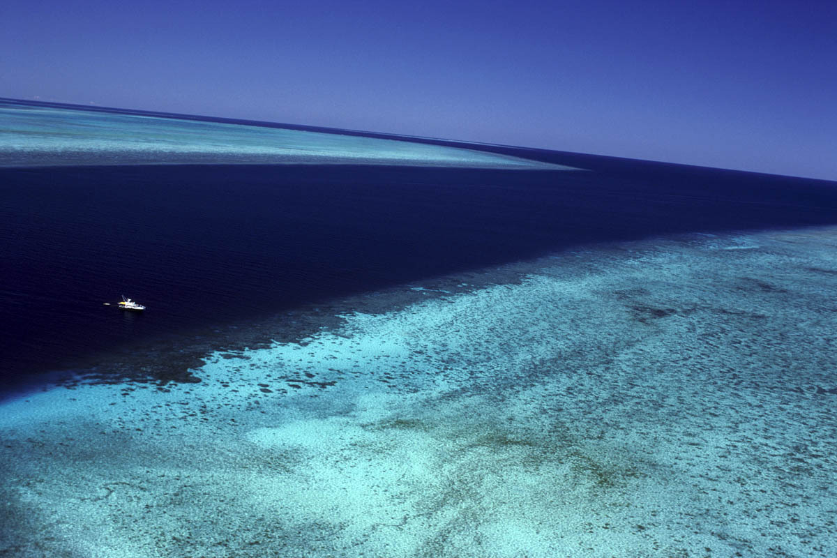 Wistari Reef. Queensland, Australia.